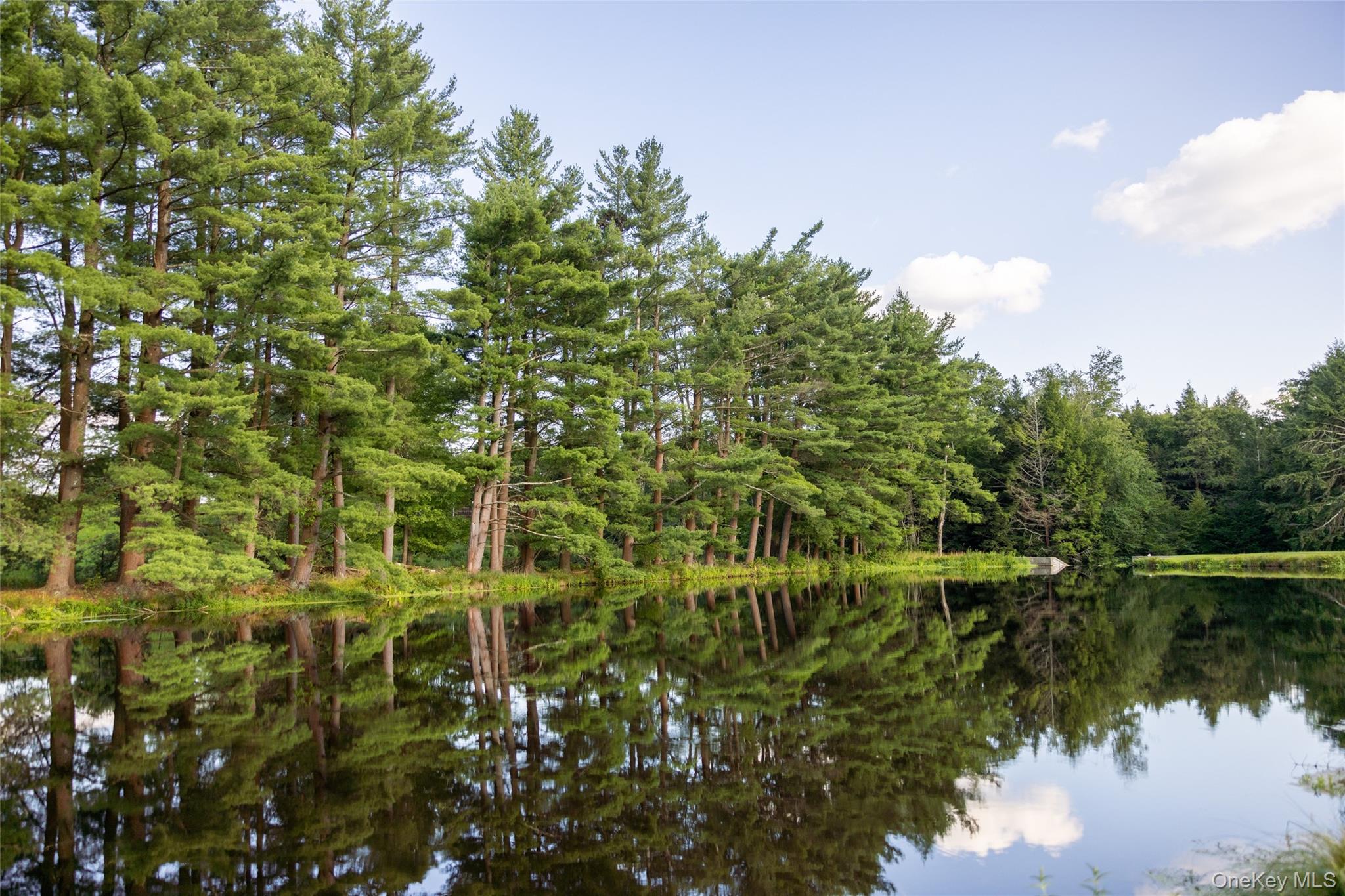 #8 photo, 49 Crumley Van Vactor Road, Ferndale , NY 12734