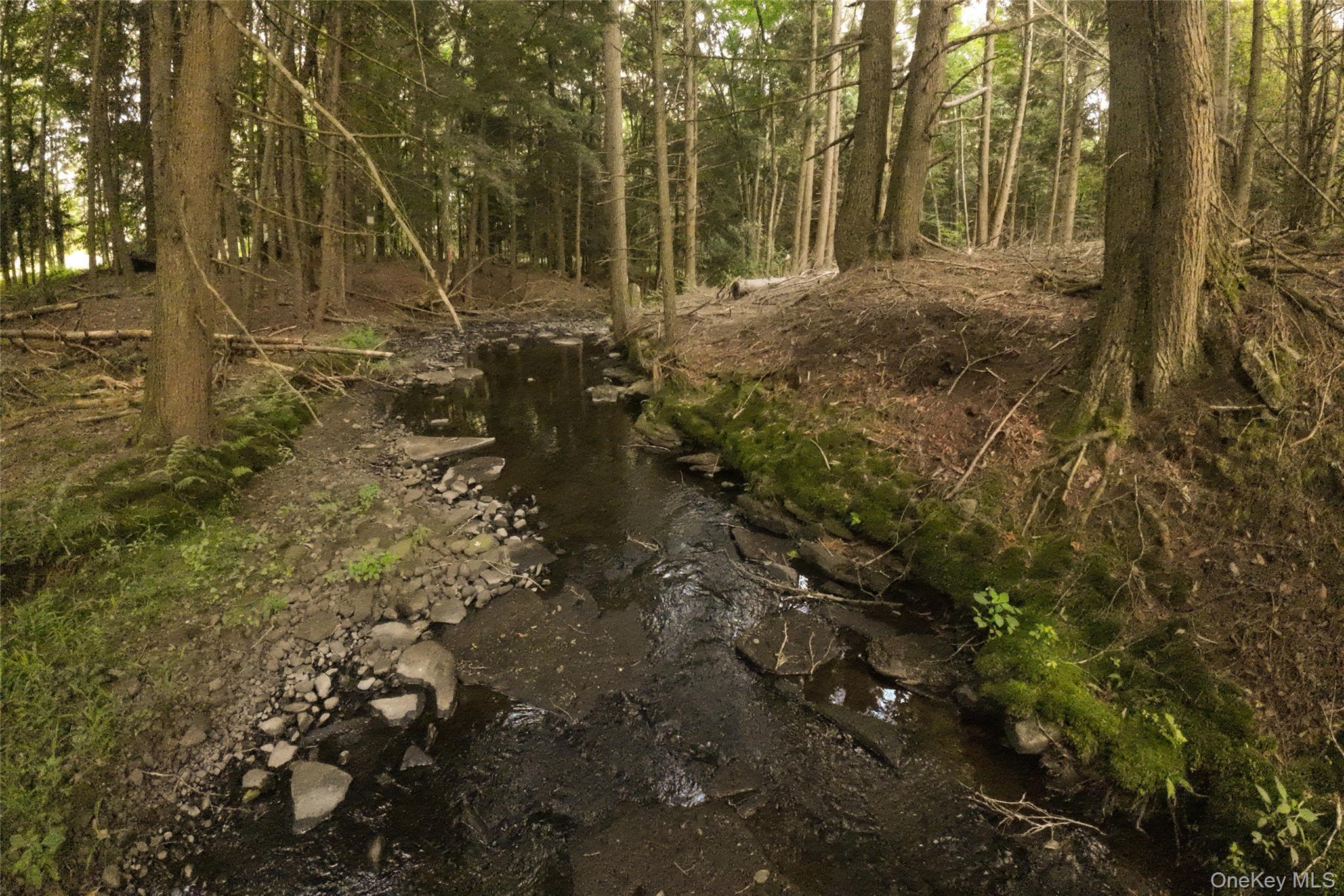 #9 photo, 49 Crumley Van Vactor Road, Ferndale , NY 12734