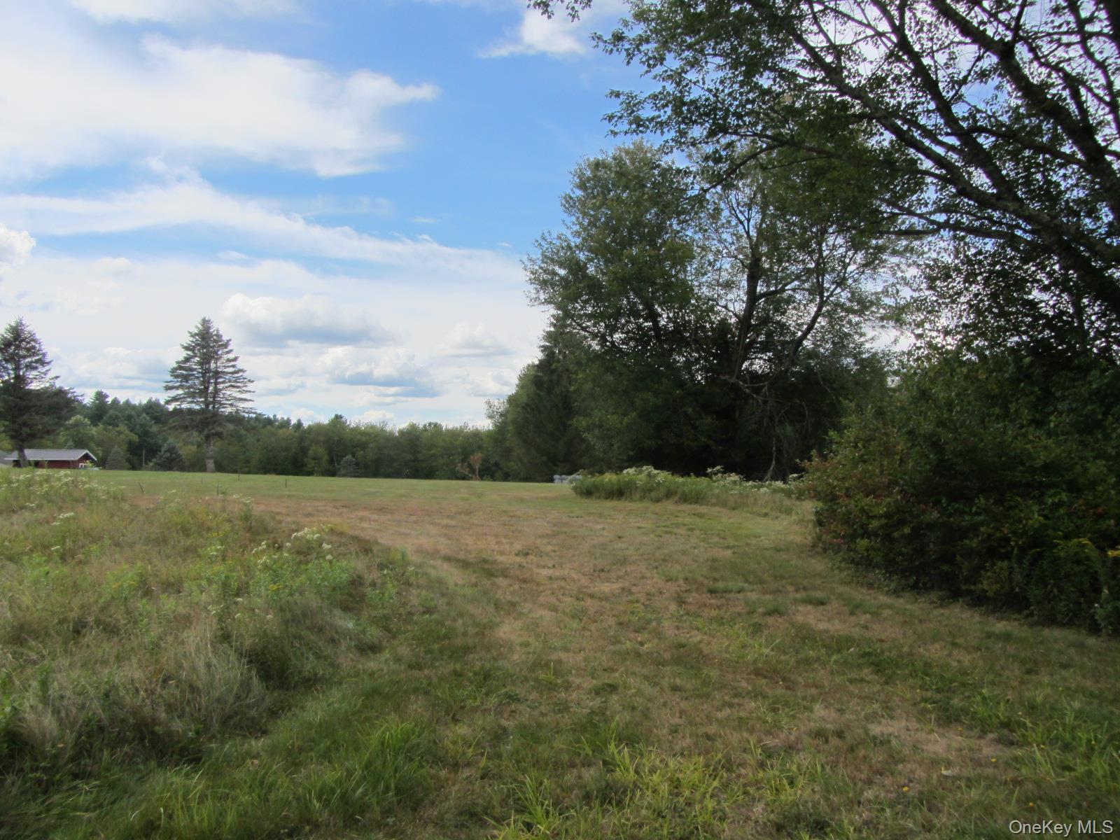 #10 photo, T/B/D Fraser Road, Monticello , NY 12701