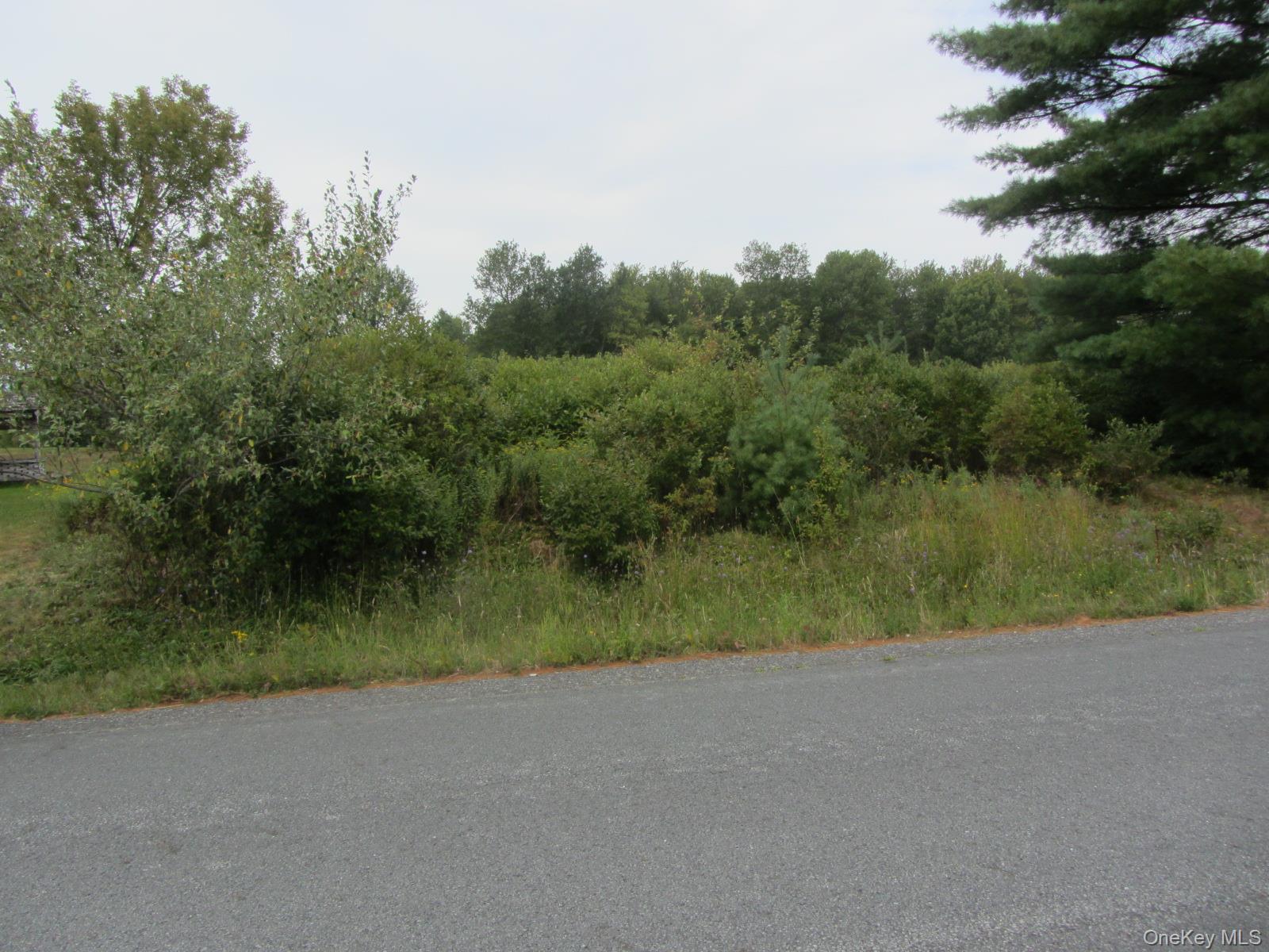 #11 photo, T/B/D Fraser Road, Monticello , NY 12701