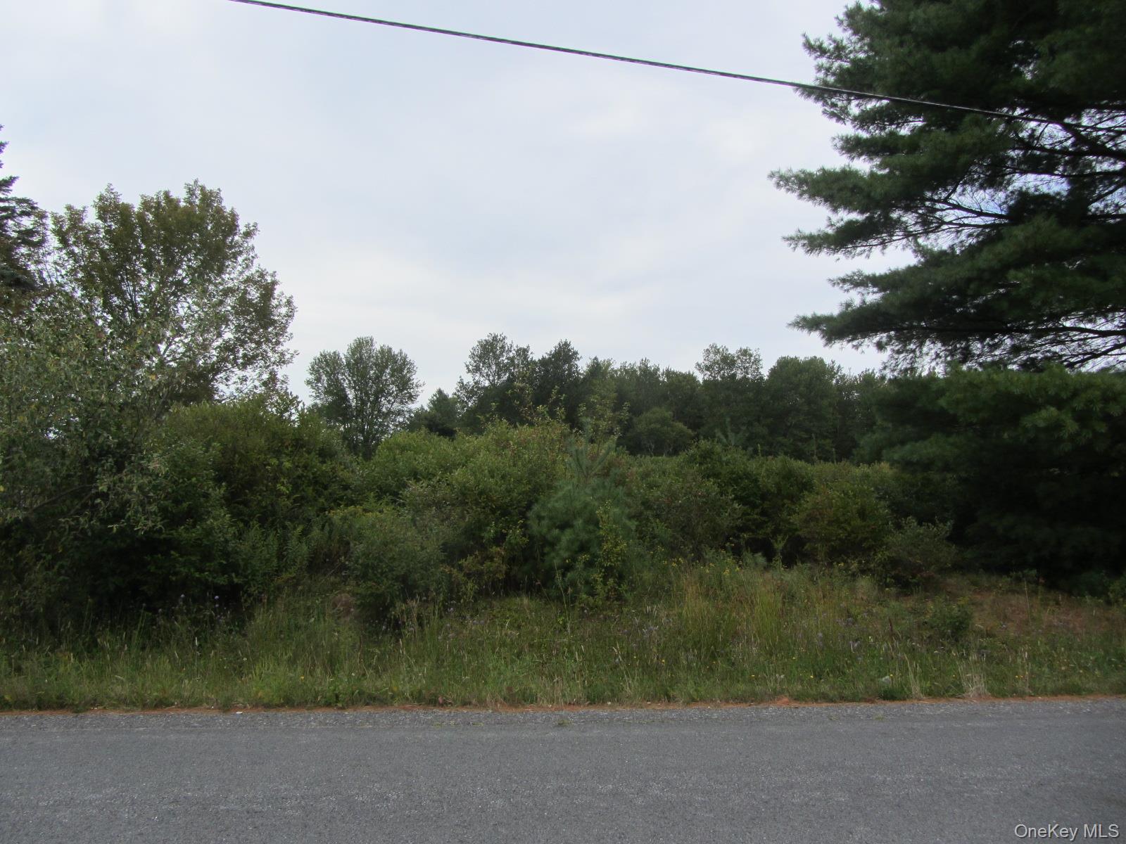 #12 photo, T/B/D Fraser Road, Monticello , NY 12701