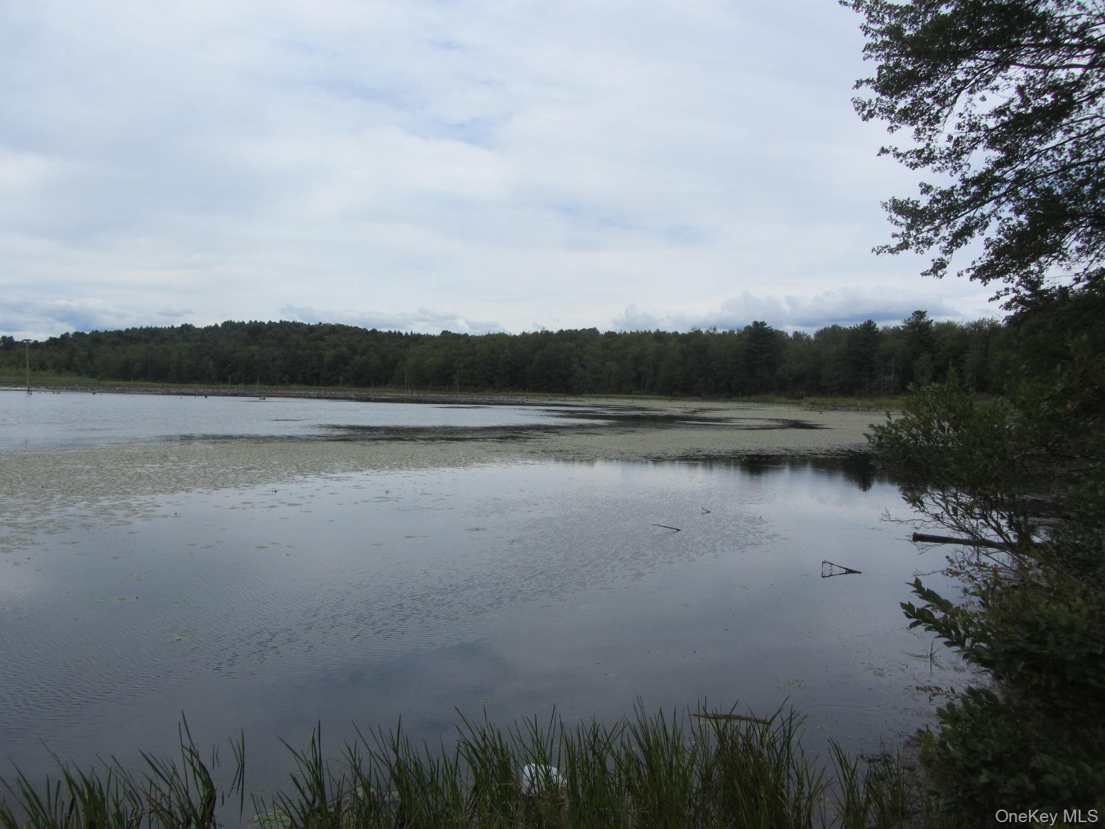 #2 photo, T/B/D Fraser Road, Monticello , NY 12701