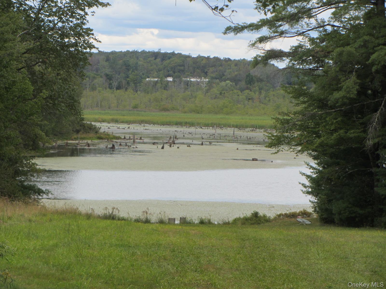 #5 photo, T/B/D Fraser Road, Monticello , NY 12701