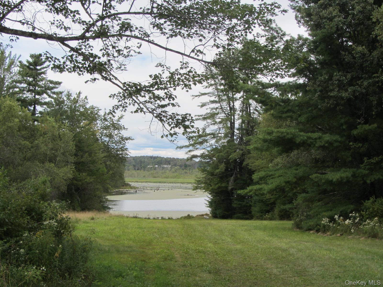 #7 photo, T/B/D Fraser Road, Monticello , NY 12701