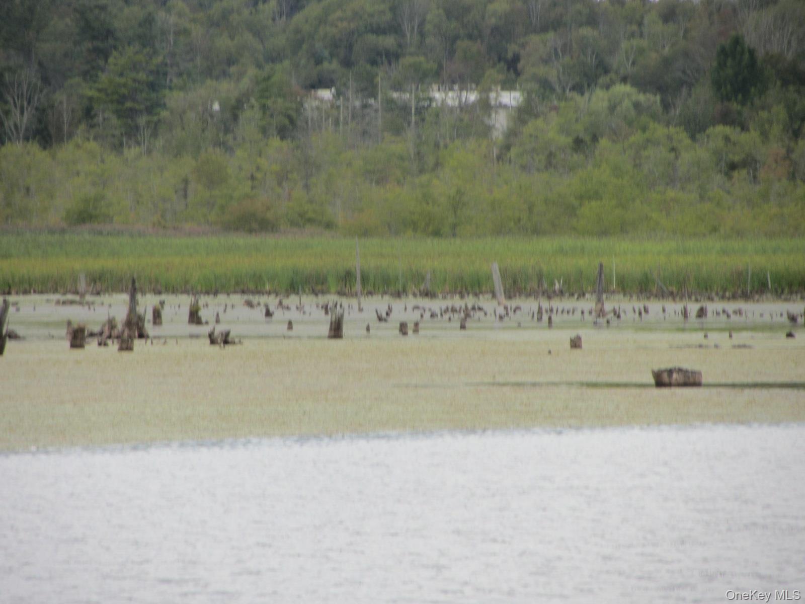 #8 photo, T/B/D Fraser Road, Monticello , NY 12701