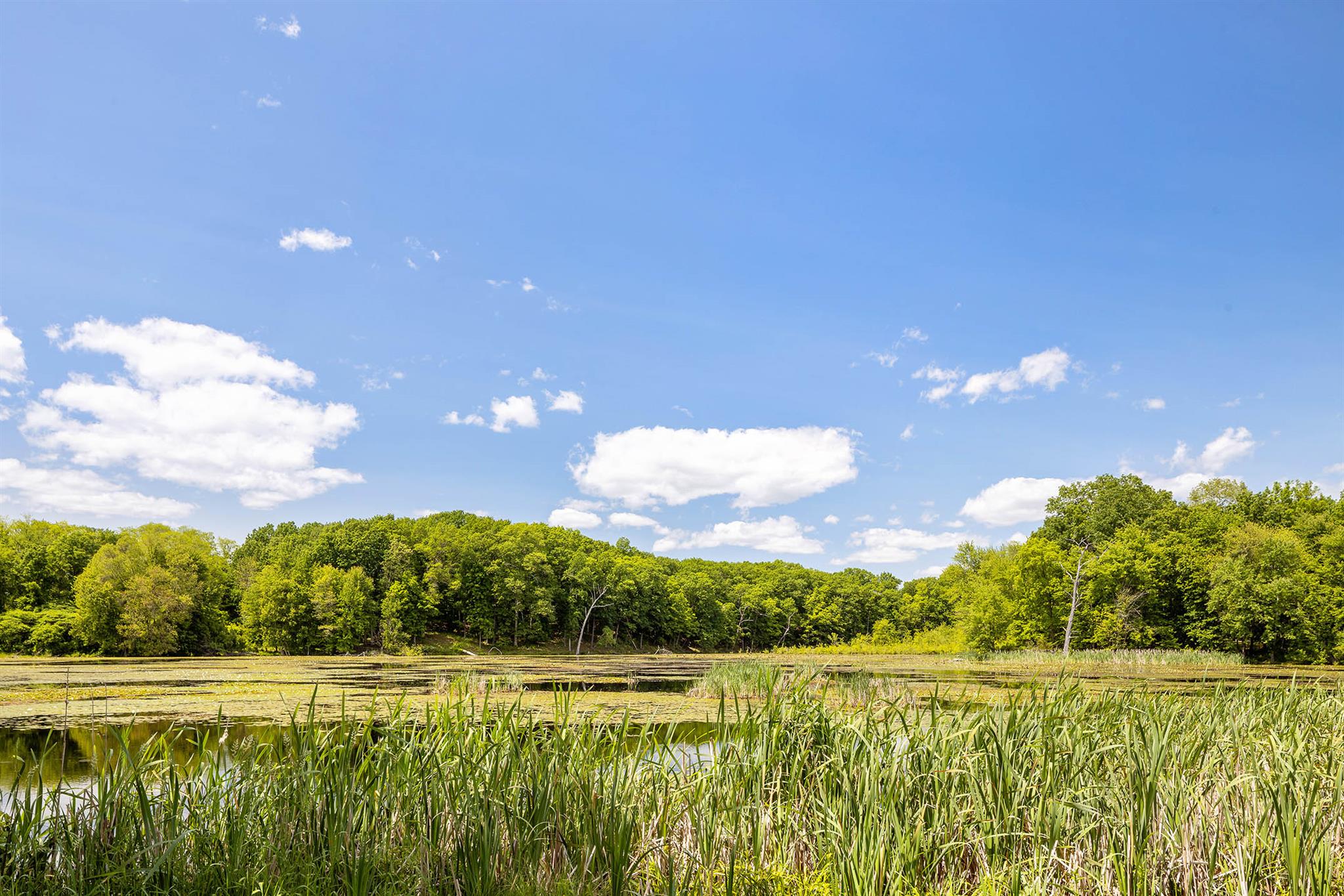 #15 photo, 1049 County Route 19, Elizaville , NY 12523