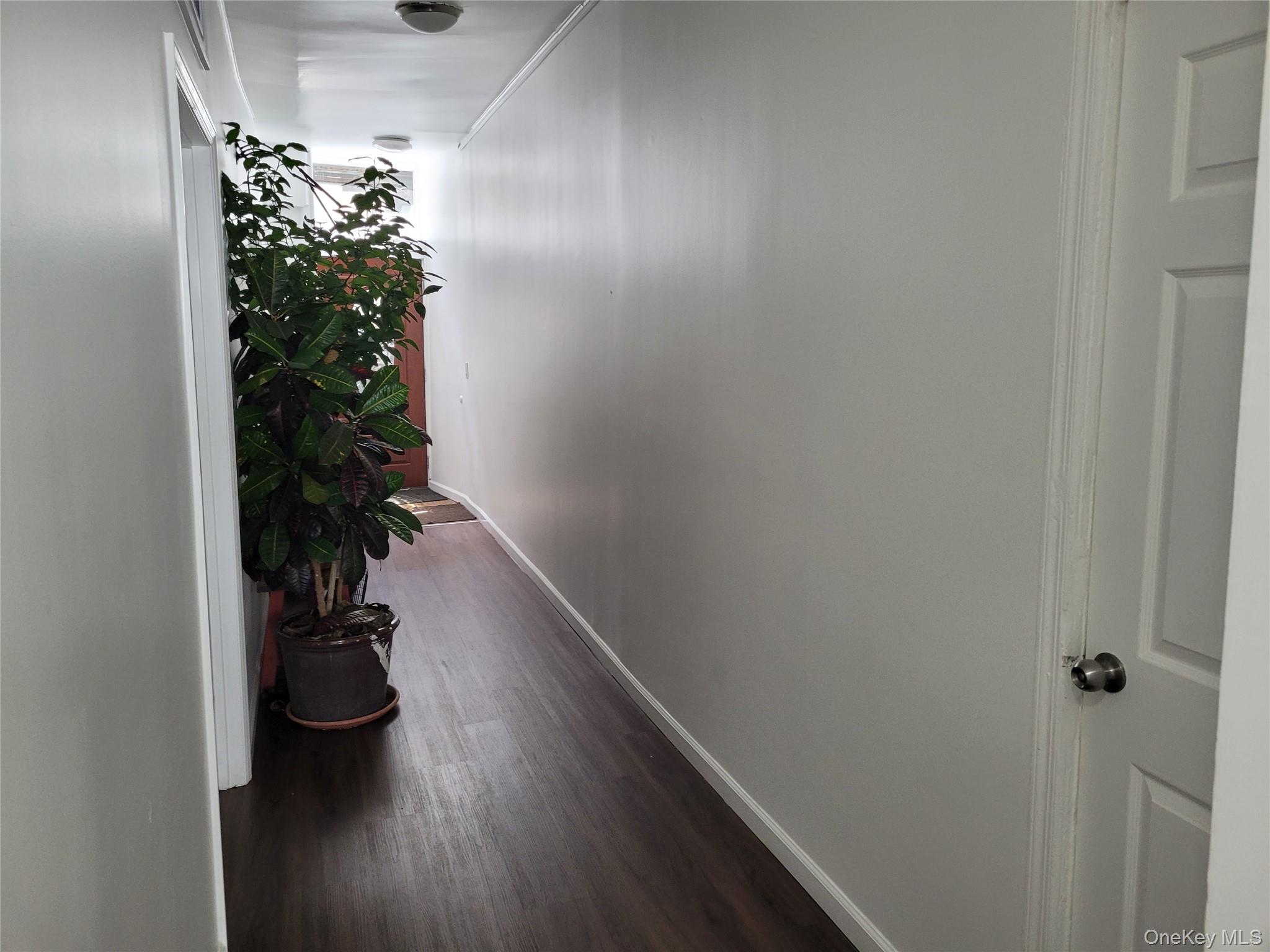 #15 photo, 3039 Fulton Street, ブルックリン区 Brooklyn , NY 11208