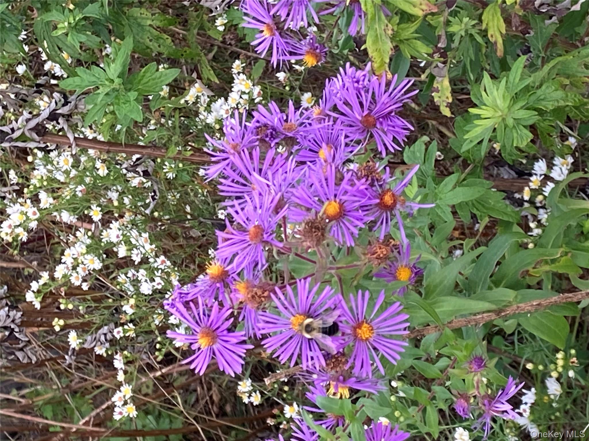 #11 photo, 136 John Street, Kingston , NY 