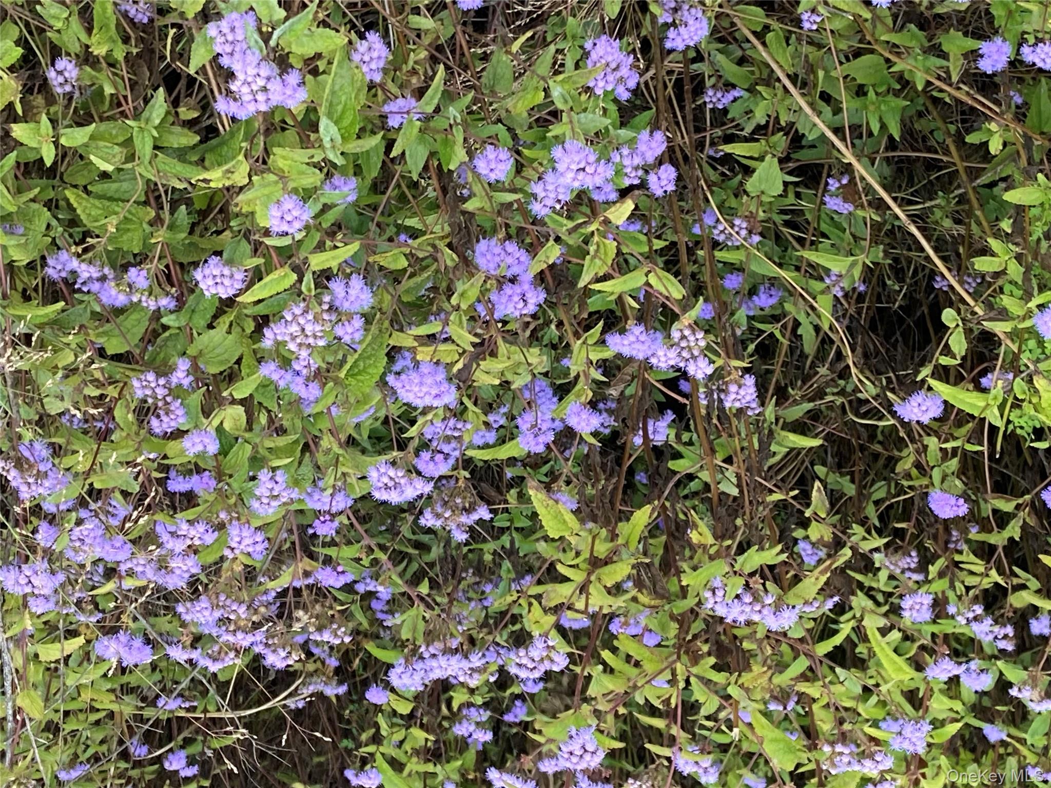 #13 photo, 136 John Street, Kingston , NY 