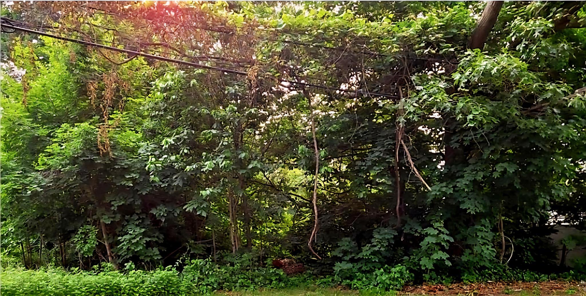 #1 photo, 191 RONKONKOMA Avenue, Ronkonkoma , NY 