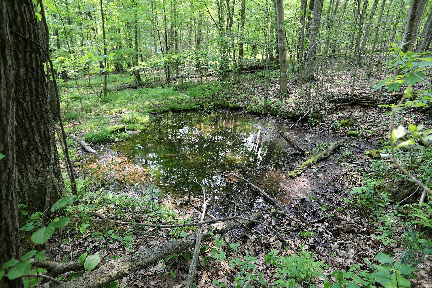 #14 photo, 155 Acid Factory Road, Long Eddy , NY 13783