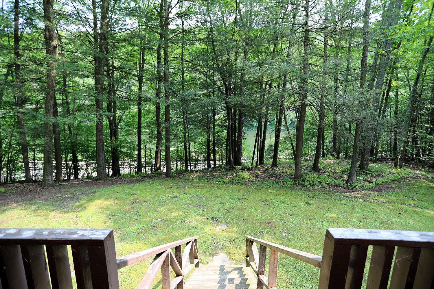 #17 photo, 155 Acid Factory Road, Long Eddy , NY 13783