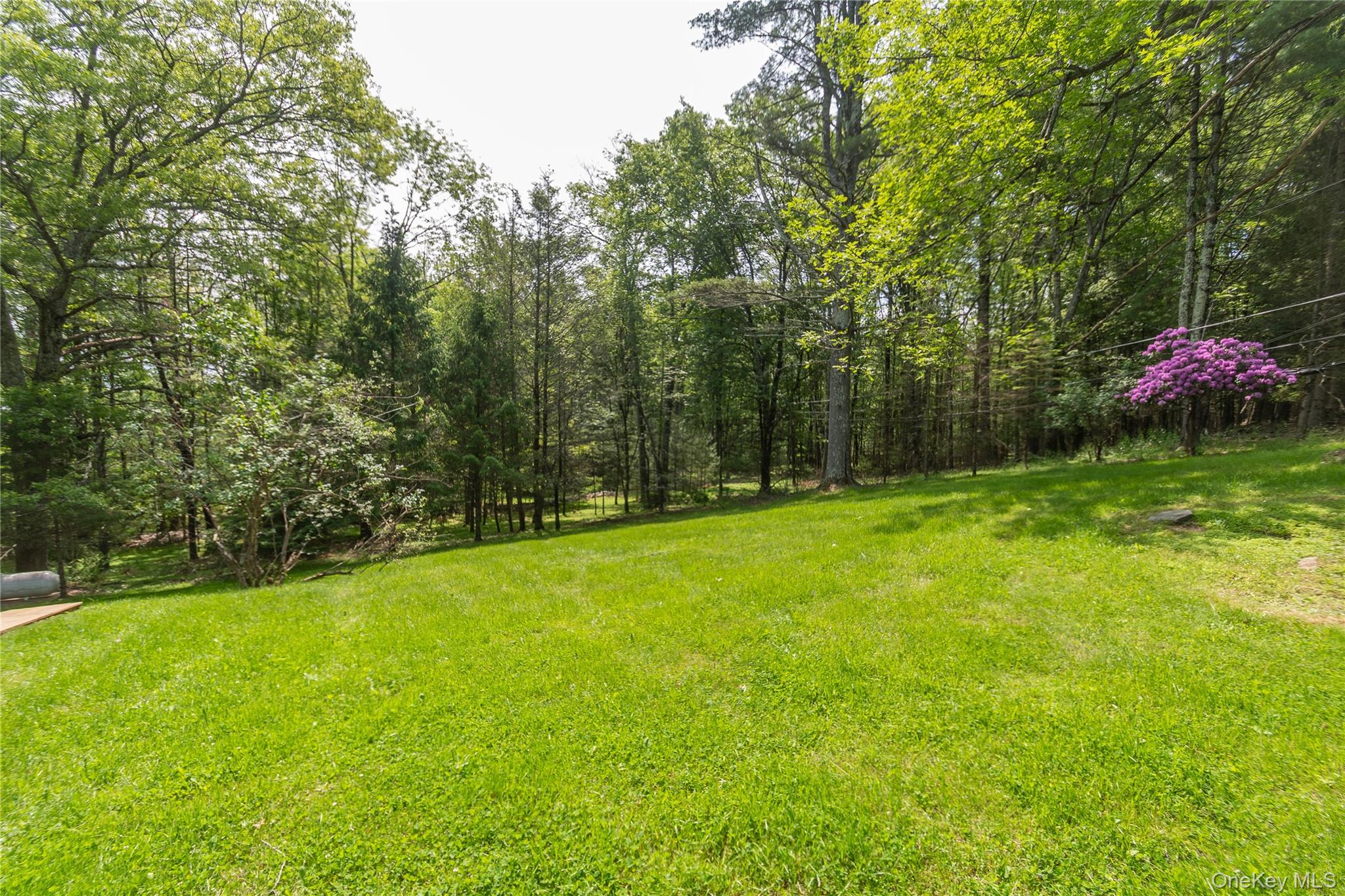 #6 photo, 183 Mill Road, Olivebridge , NY 12461