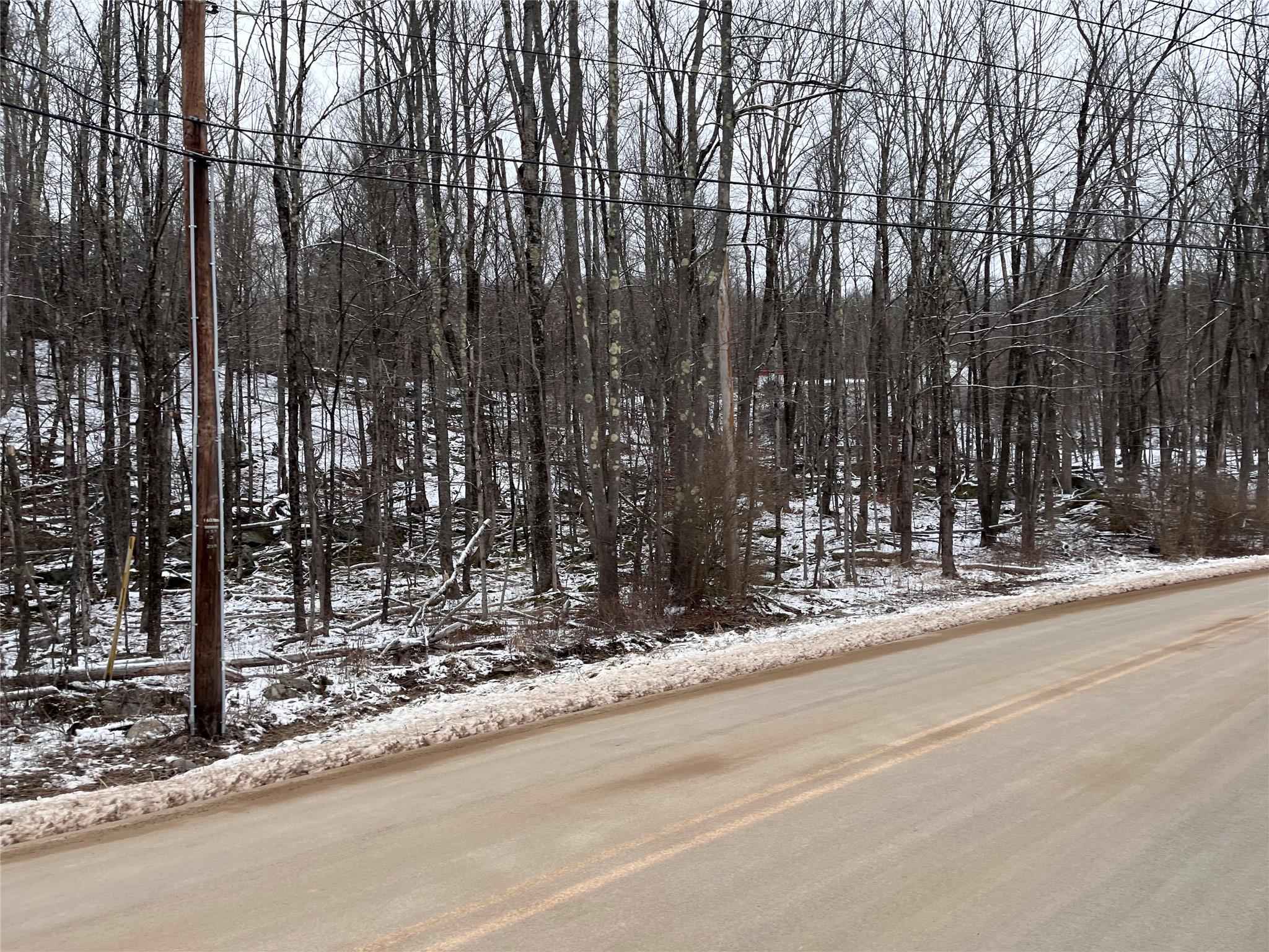 #3 photo, Roosevelt Ave CR53 Tabaczynski Road, Woodridge , NY 