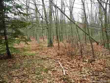 #3 photo, 618-634 BEAN RIVER Road, Millerton , NY 12567