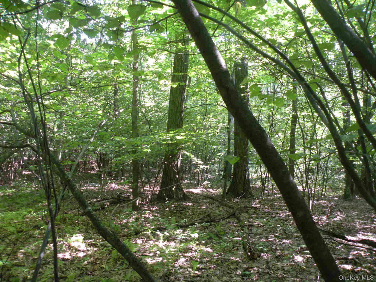 #4 photo, 618-634 BEAN RIVER Road, Millerton , NY 12567