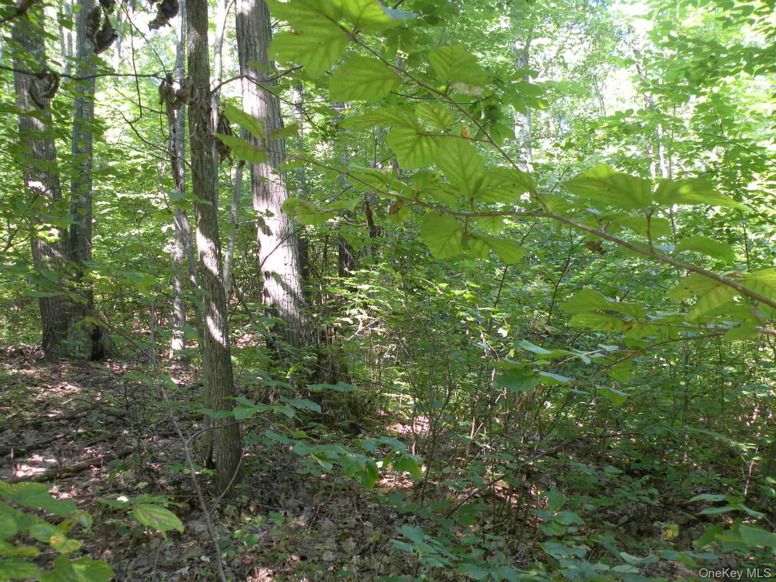 #5 photo, 618-634 BEAN RIVER Road, Millerton , NY 12567