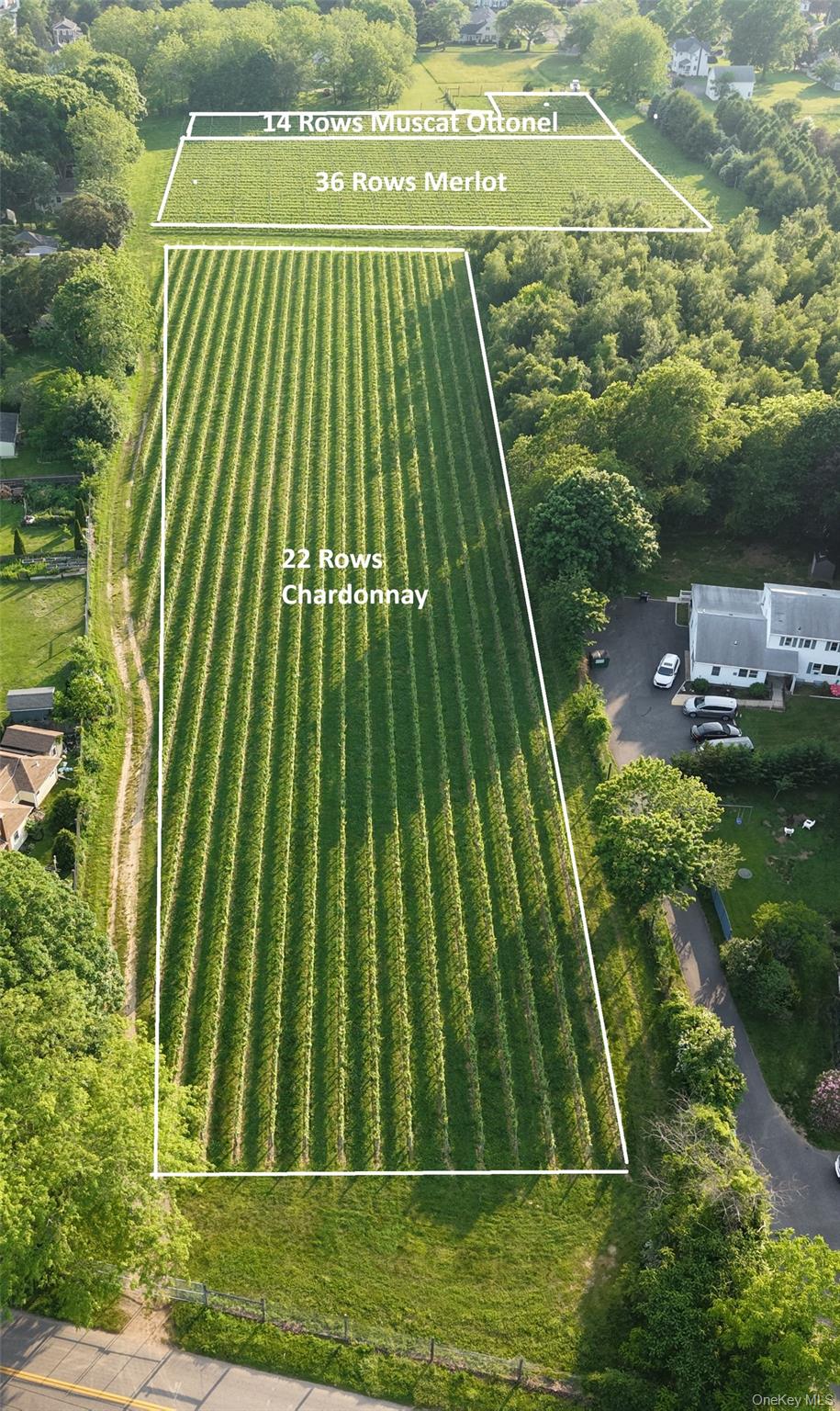 #10 photo, 1135 Boisseau Avenue, サフォーク郡 Southold , NY 11971