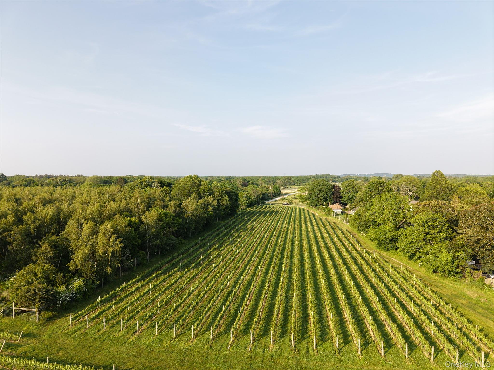 #2 photo, 1135 Boisseau Avenue, サフォーク郡 Southold , NY 11971