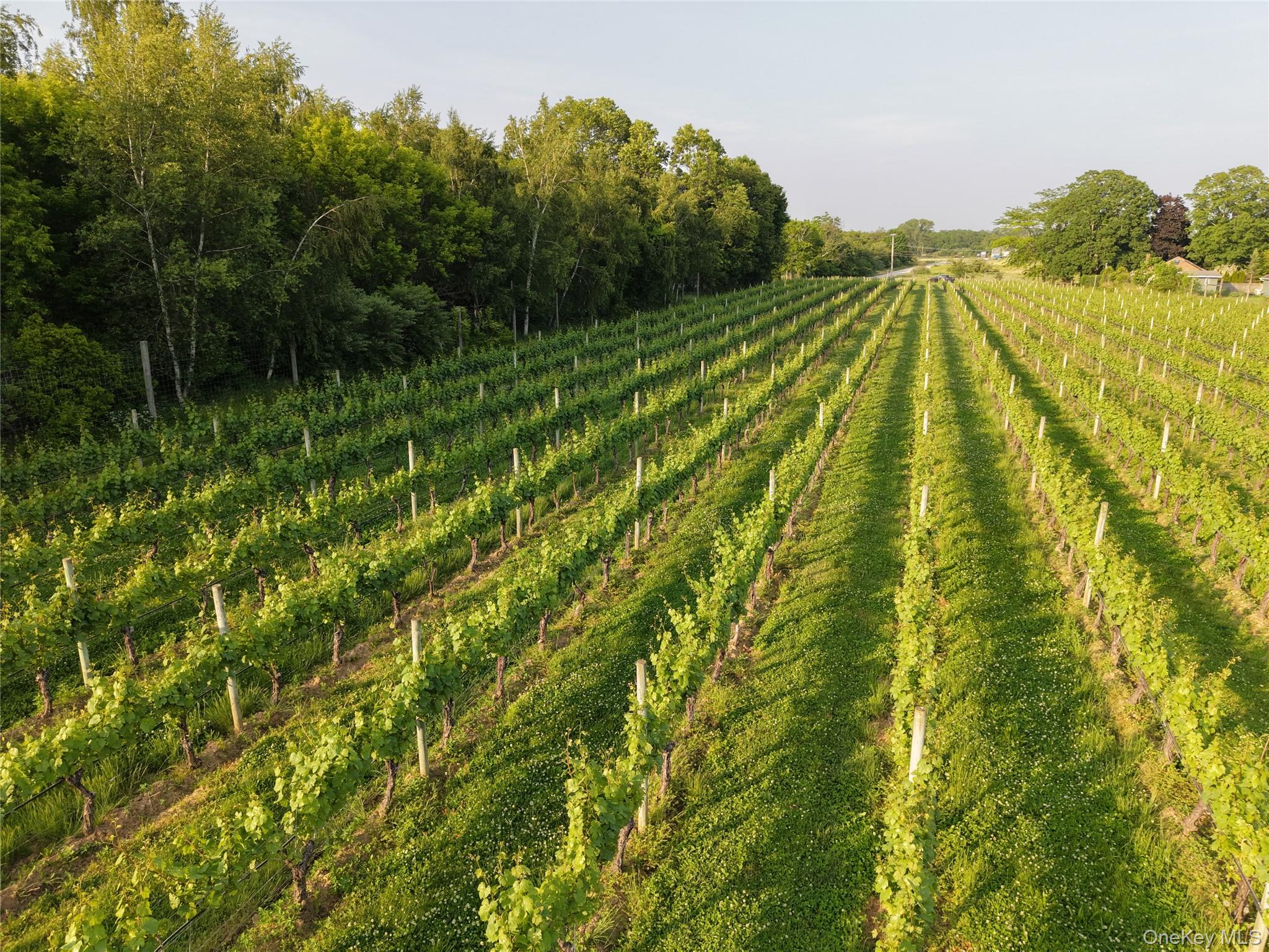 #3 photo, 1135 Boisseau Avenue, サフォーク郡 Southold , NY 11971