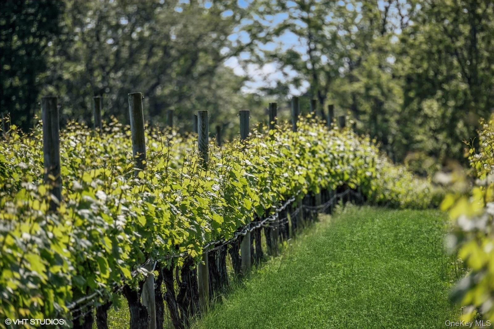 #6 photo, 1135 Boisseau Avenue, サフォーク郡 Southold , NY 11971