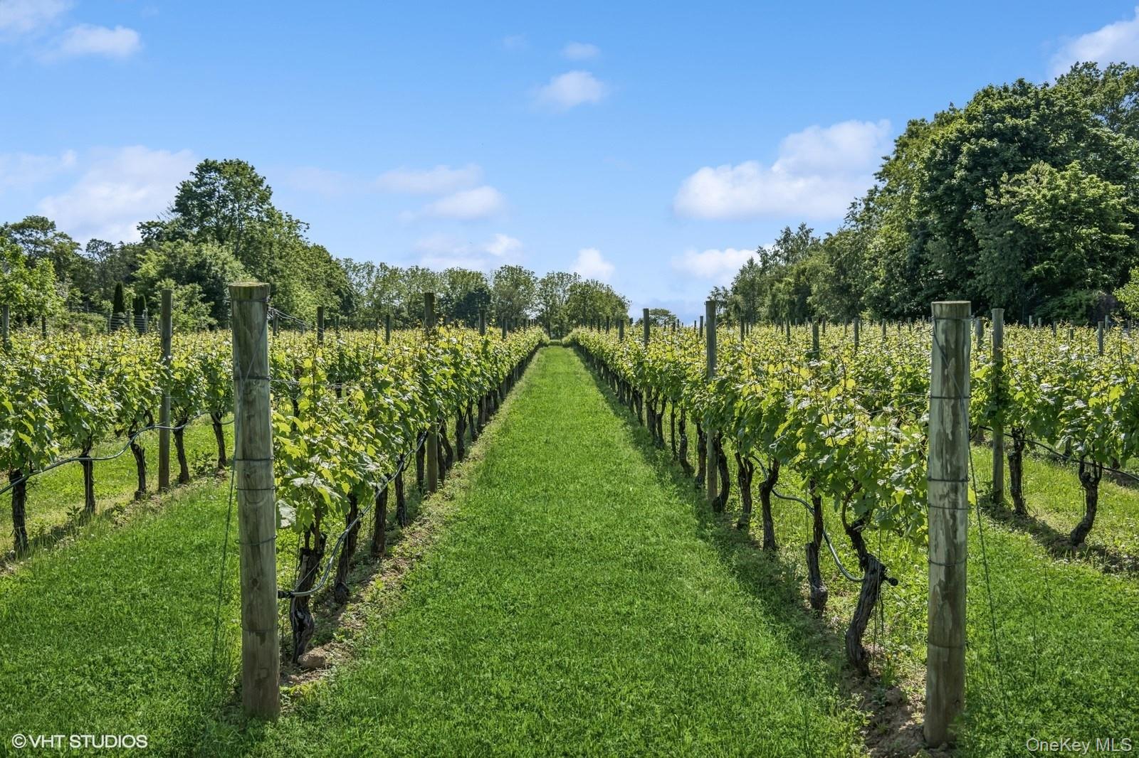 #7 photo, 1135 Boisseau Avenue, サフォーク郡 Southold , NY 11971