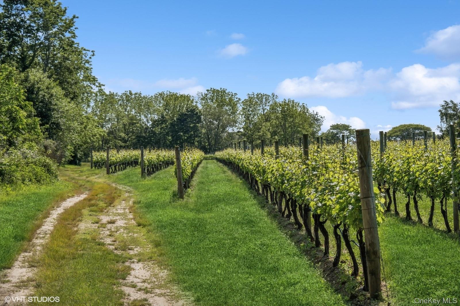 #8 photo, 1135 Boisseau Avenue, サフォーク郡 Southold , NY 11971