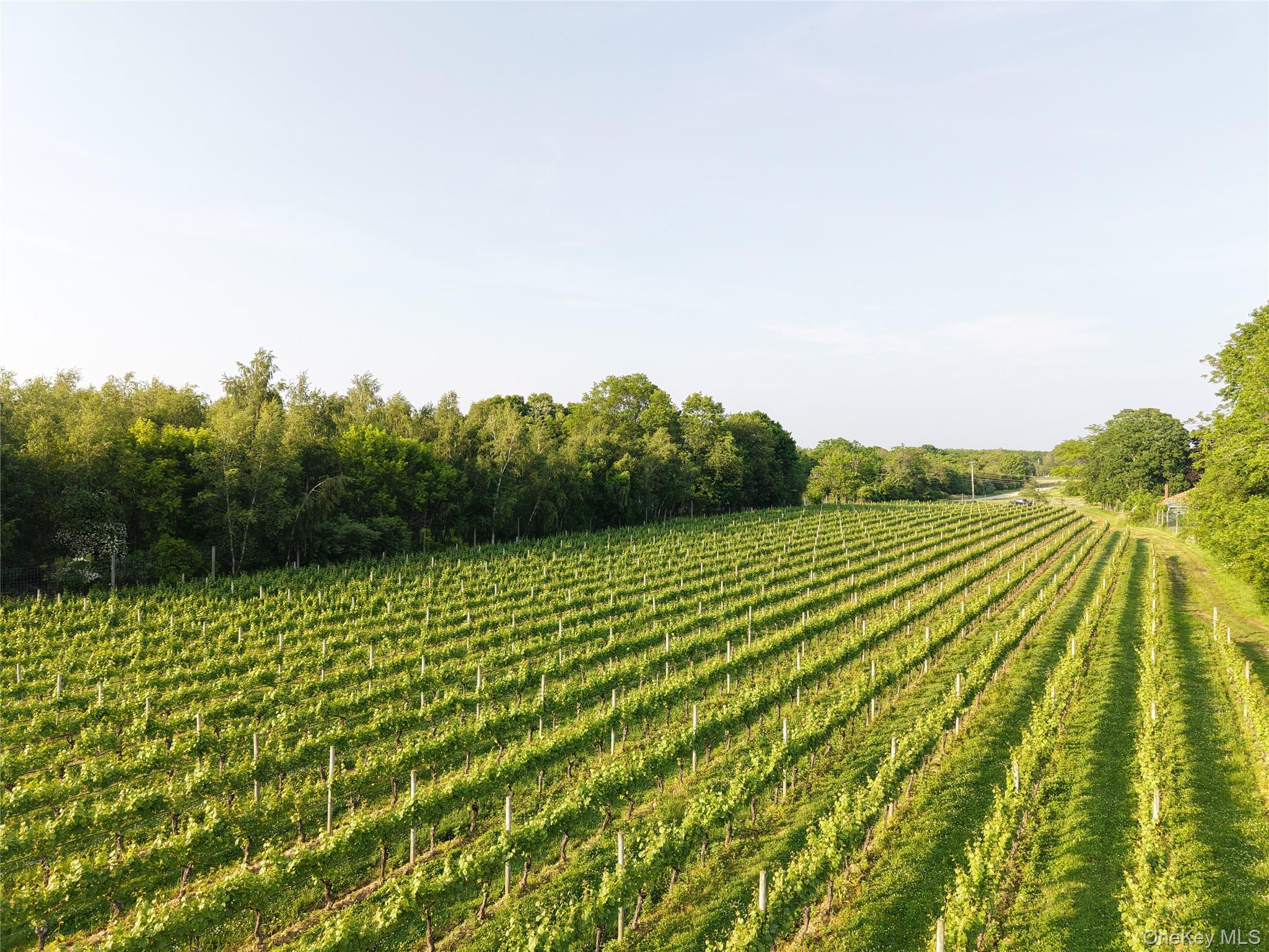 #9 photo, 1135 Boisseau Avenue, サフォーク郡 Southold , NY 11971