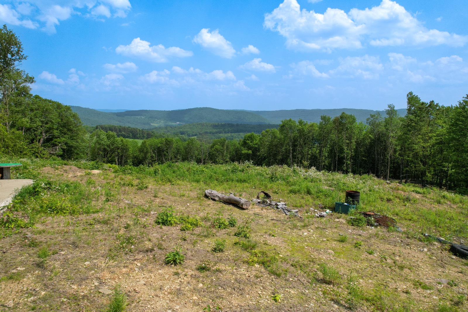 #9 photo, 188 Cheese Factory Rd, Deposit , NY 13754