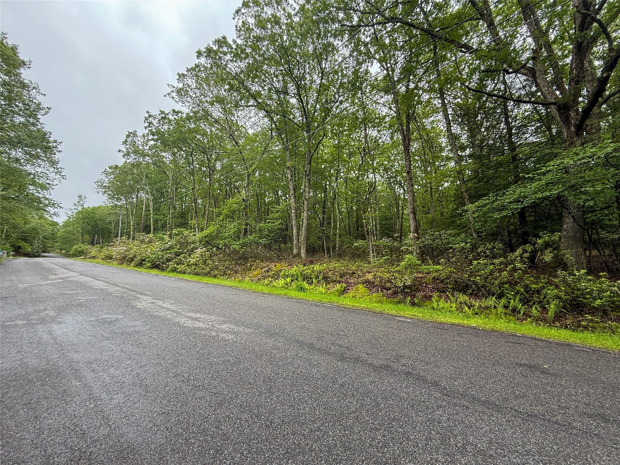 #2 photo, Old Sackett Road, Rock Hill , NY 12775