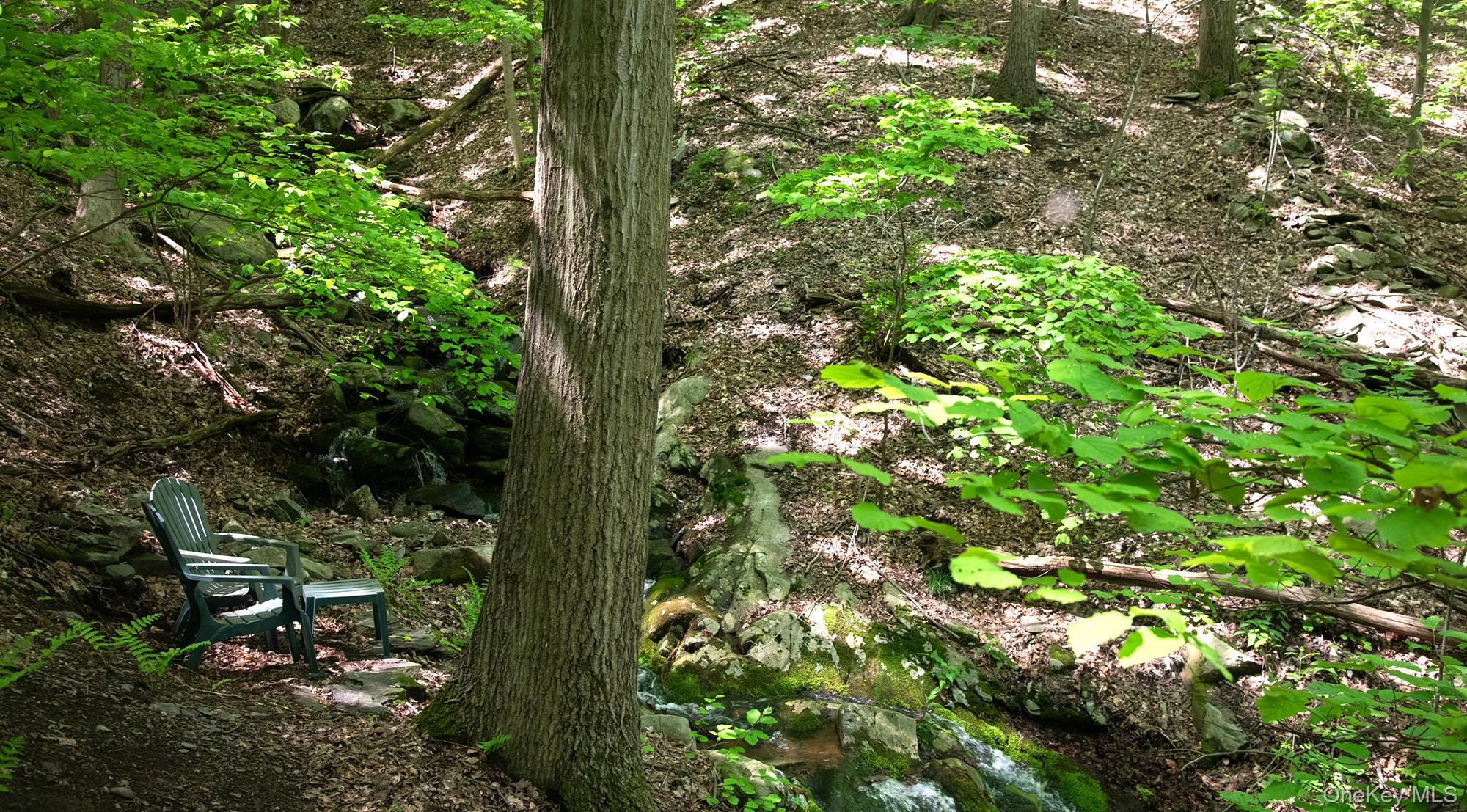 #11 photo, 36 Blue Grass Lane, Beacon , NY 12508