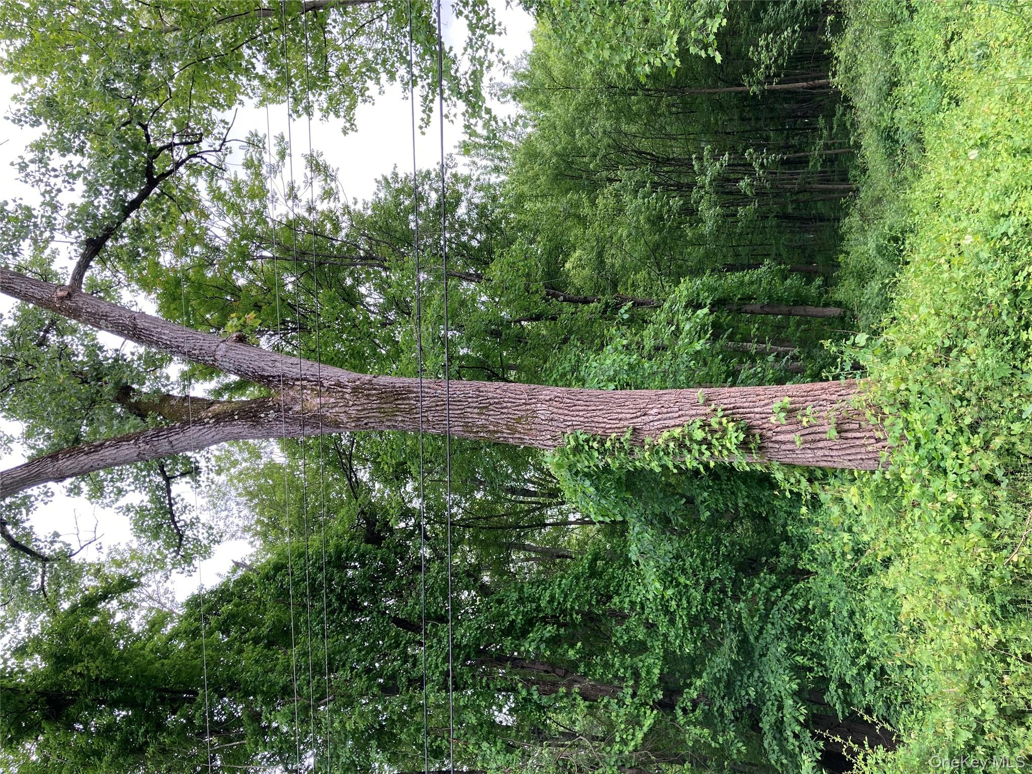 #1 photo, 30 Luty Drive, Hyde Park , NY 