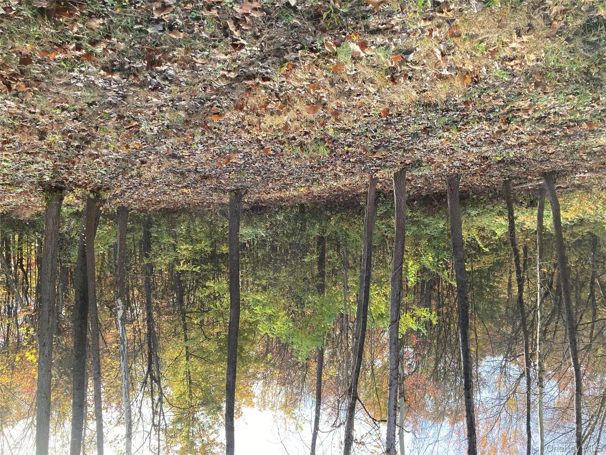 #11 photo, 30 Luty Drive, Hyde Park , NY 