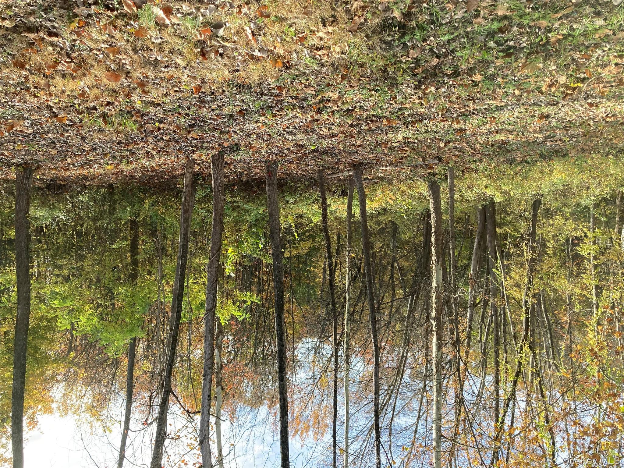 #13 photo, 30 Luty Drive, Hyde Park , NY 