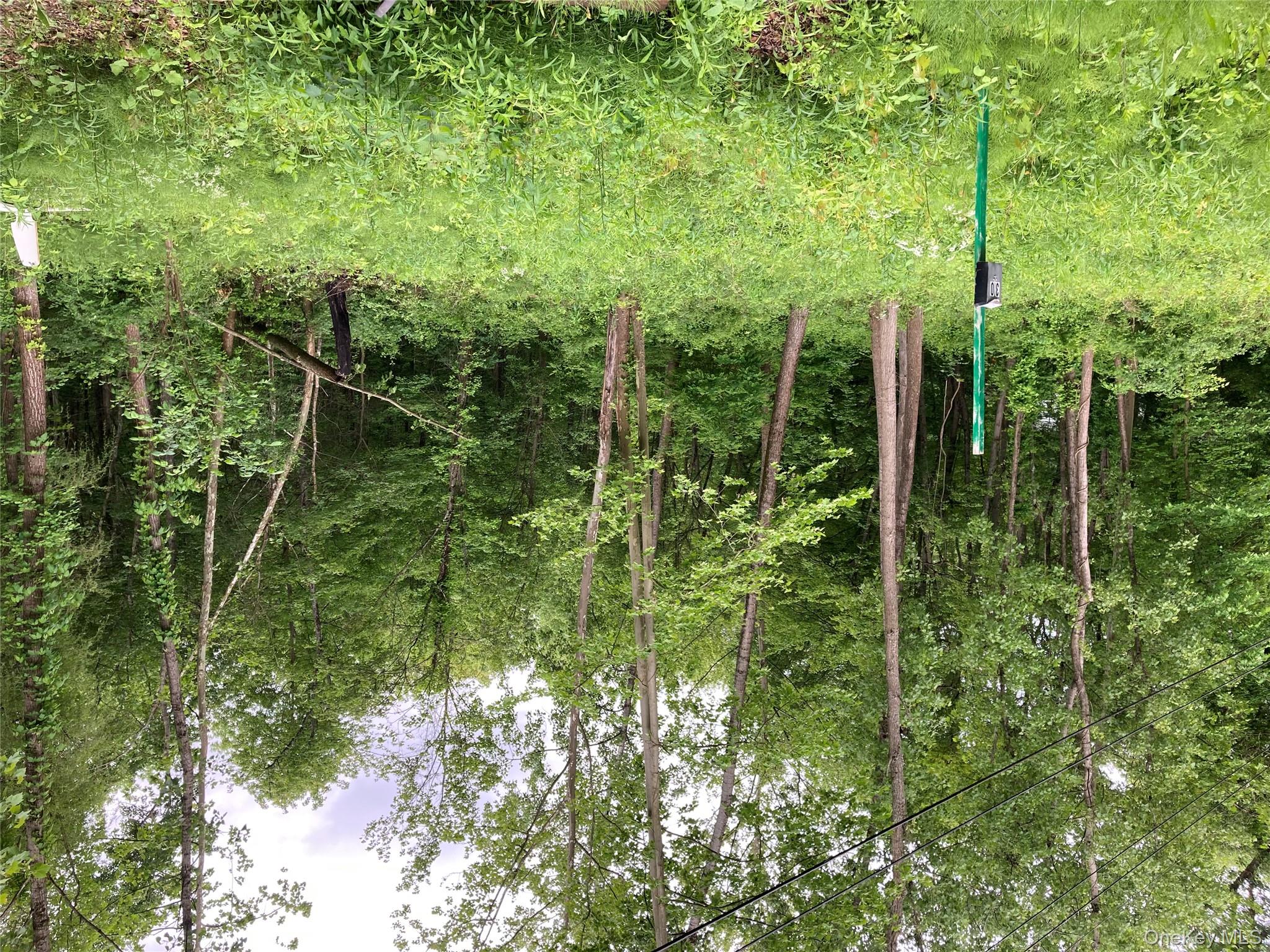 #6 photo, 30 Luty Drive, Hyde Park , NY 