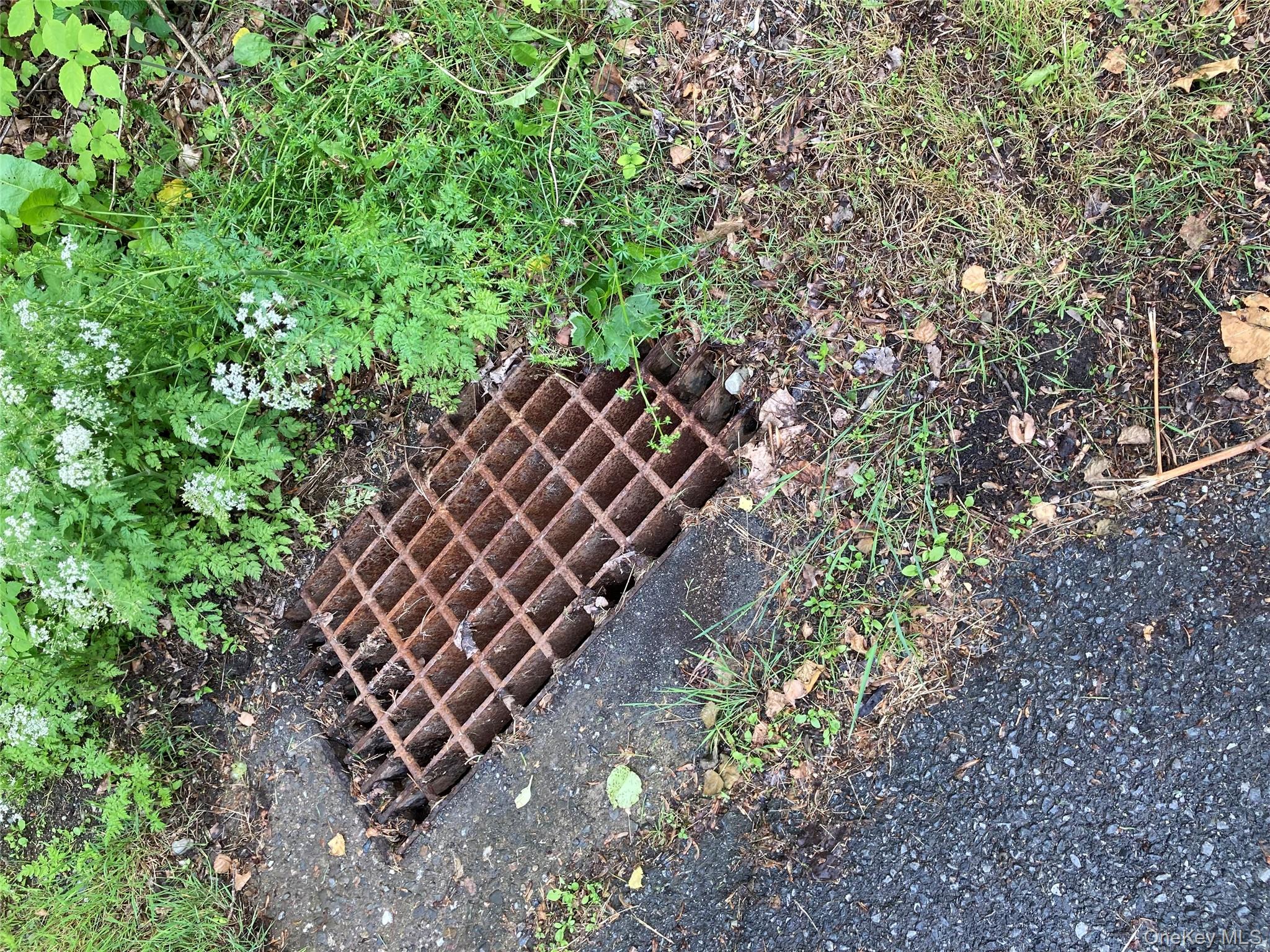 #7 photo, 30 Luty Drive, Hyde Park , NY 