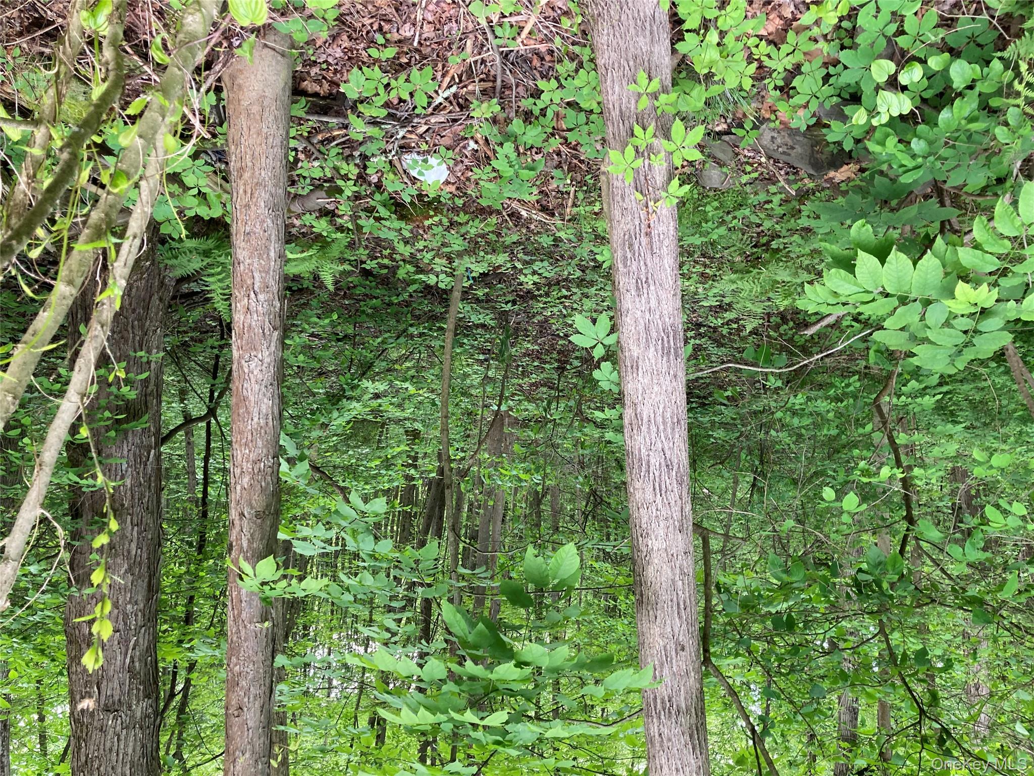 #8 photo, 30 Luty Drive, Hyde Park , NY 