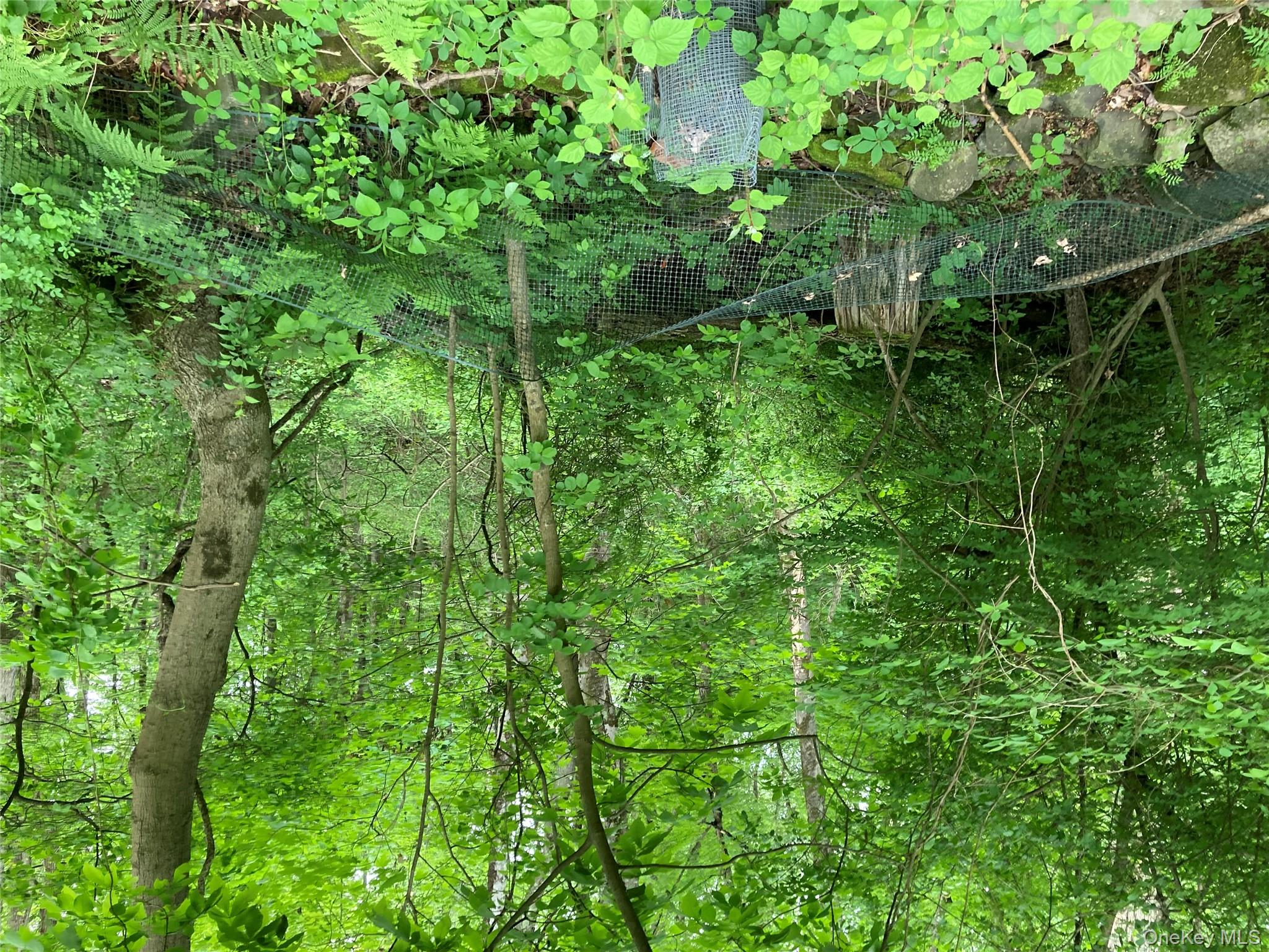 #9 photo, 30 Luty Drive, Hyde Park , NY 