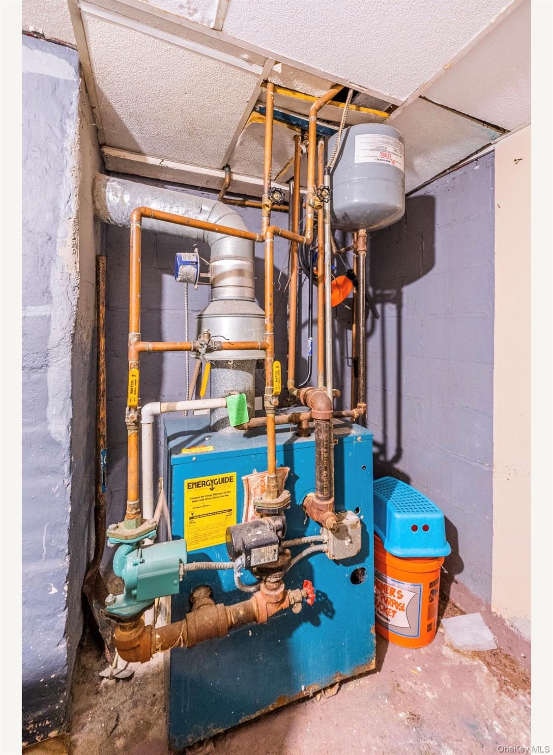 #17 photo, 5883 57th Road, クイーンズ区 Maspeth , NY 11378