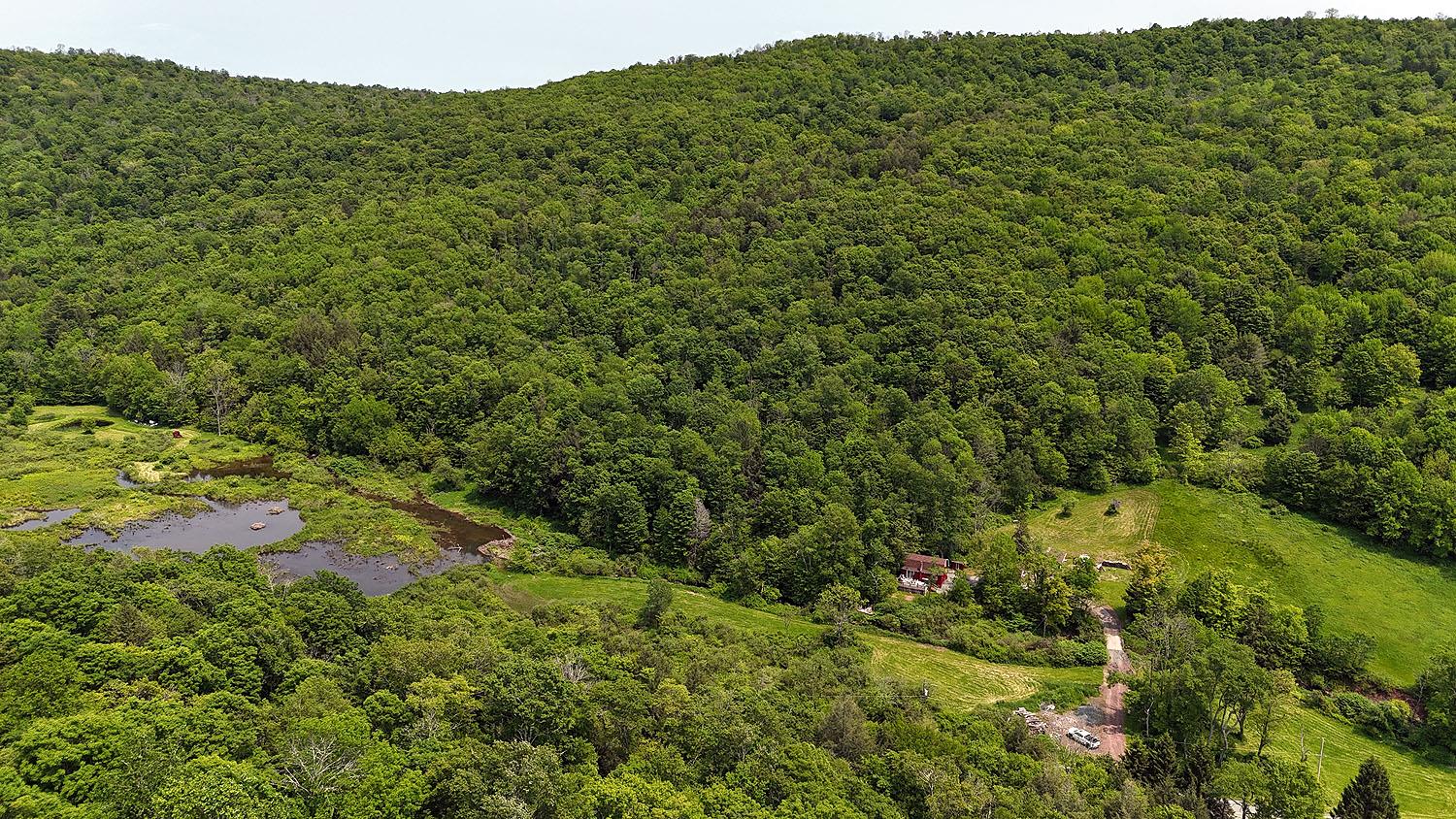 #2 photo, 9003 County Hwy 28, Long Eddy , NY 12760