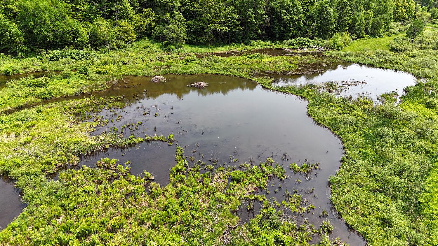 #4 photo, 9003 County Hwy 28, Long Eddy , NY 12760