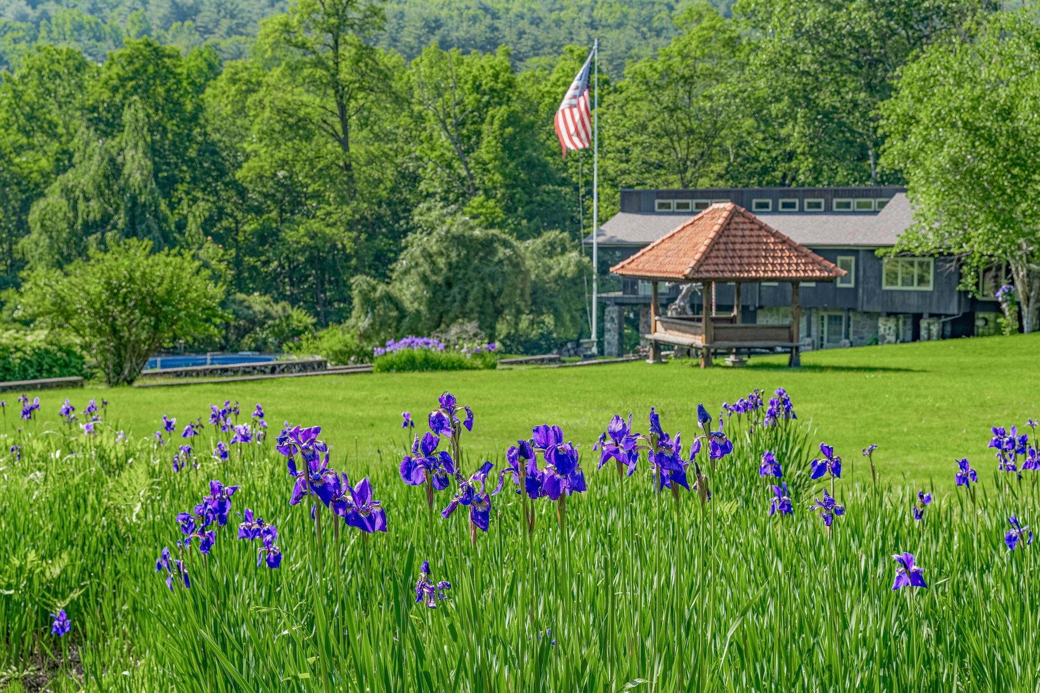 #2 photo, Mount Tremper, Mount Tremper , NY 12457