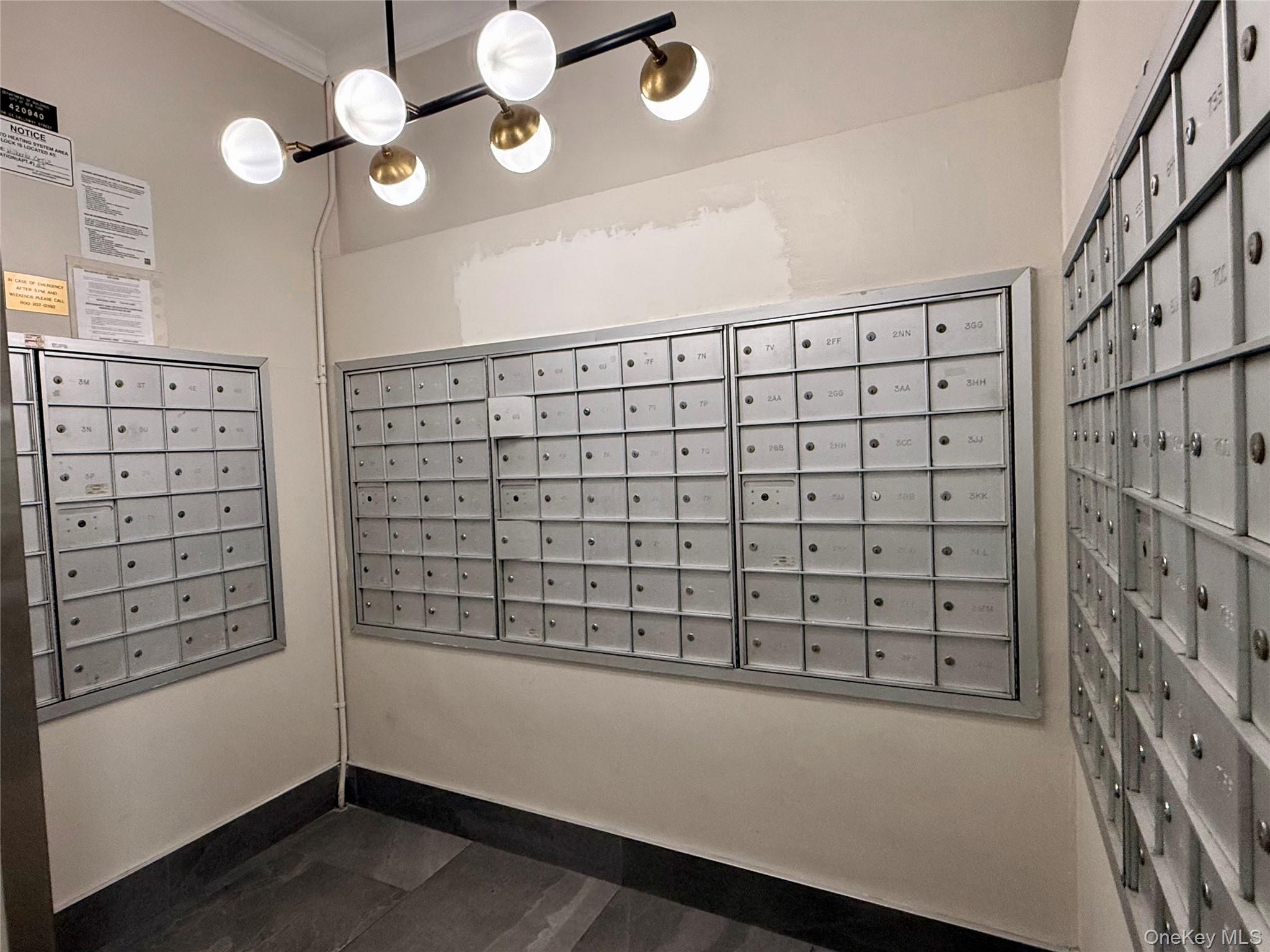 #8 photo, 58-03 Calloway Street, Corona , NY 11369