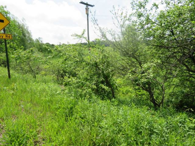 #10 photo, 0 Butler Rd, Newport , NY 13416