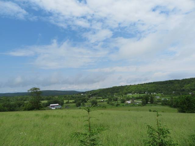 #2 photo, 0 Butler Rd, Newport , NY 13416