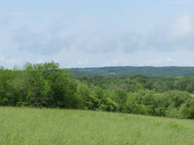 #4 photo, 0 Butler Rd, Newport , NY 13416