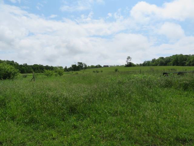 #5 photo, 0 Butler Rd, Newport , NY 13416