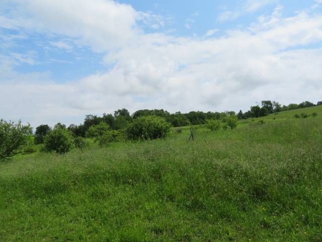 #6 photo, 0 Butler Rd, Newport , NY 13416