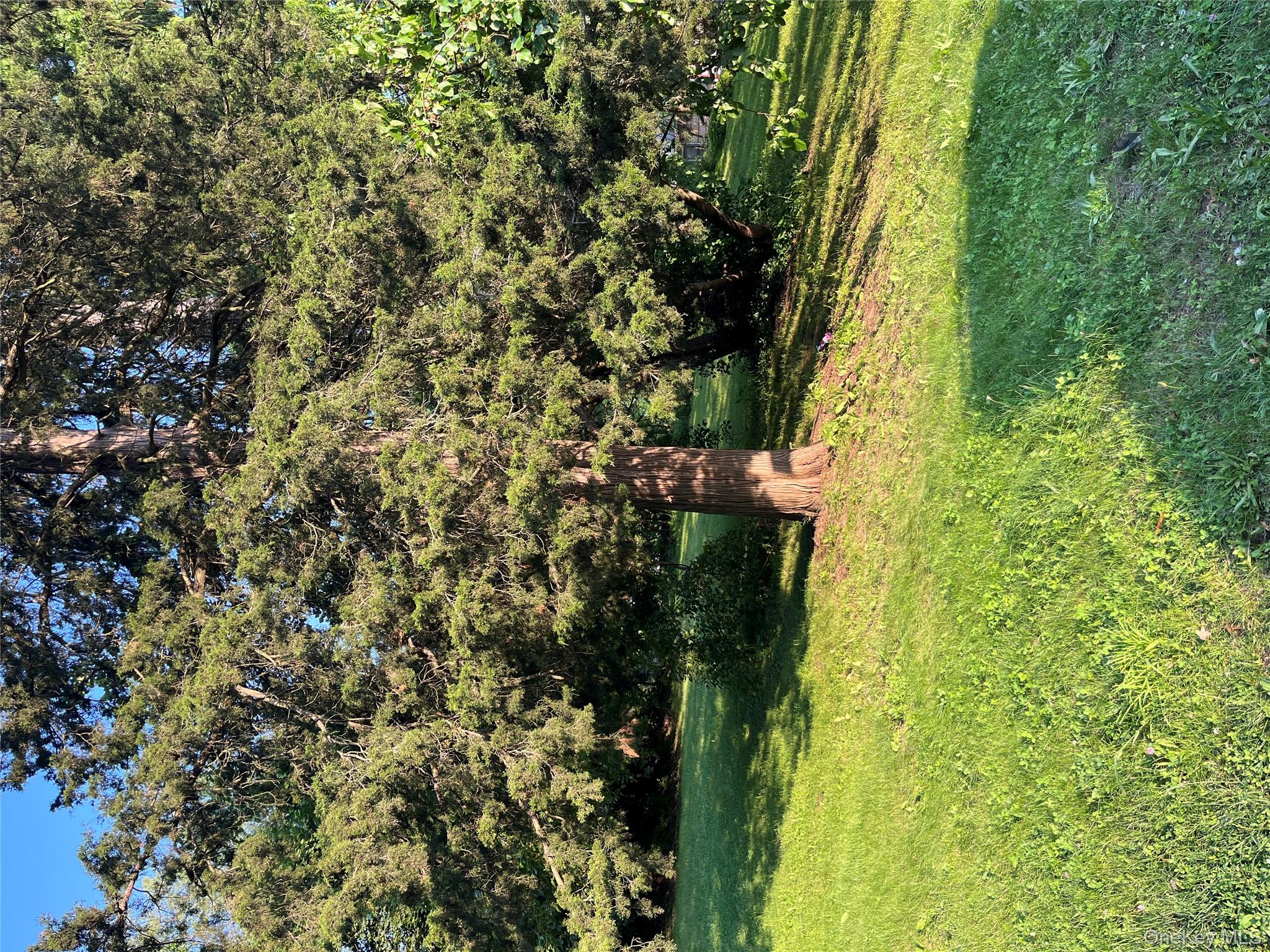 #4 photo, 1305 Main, Peekskill , NY 10566