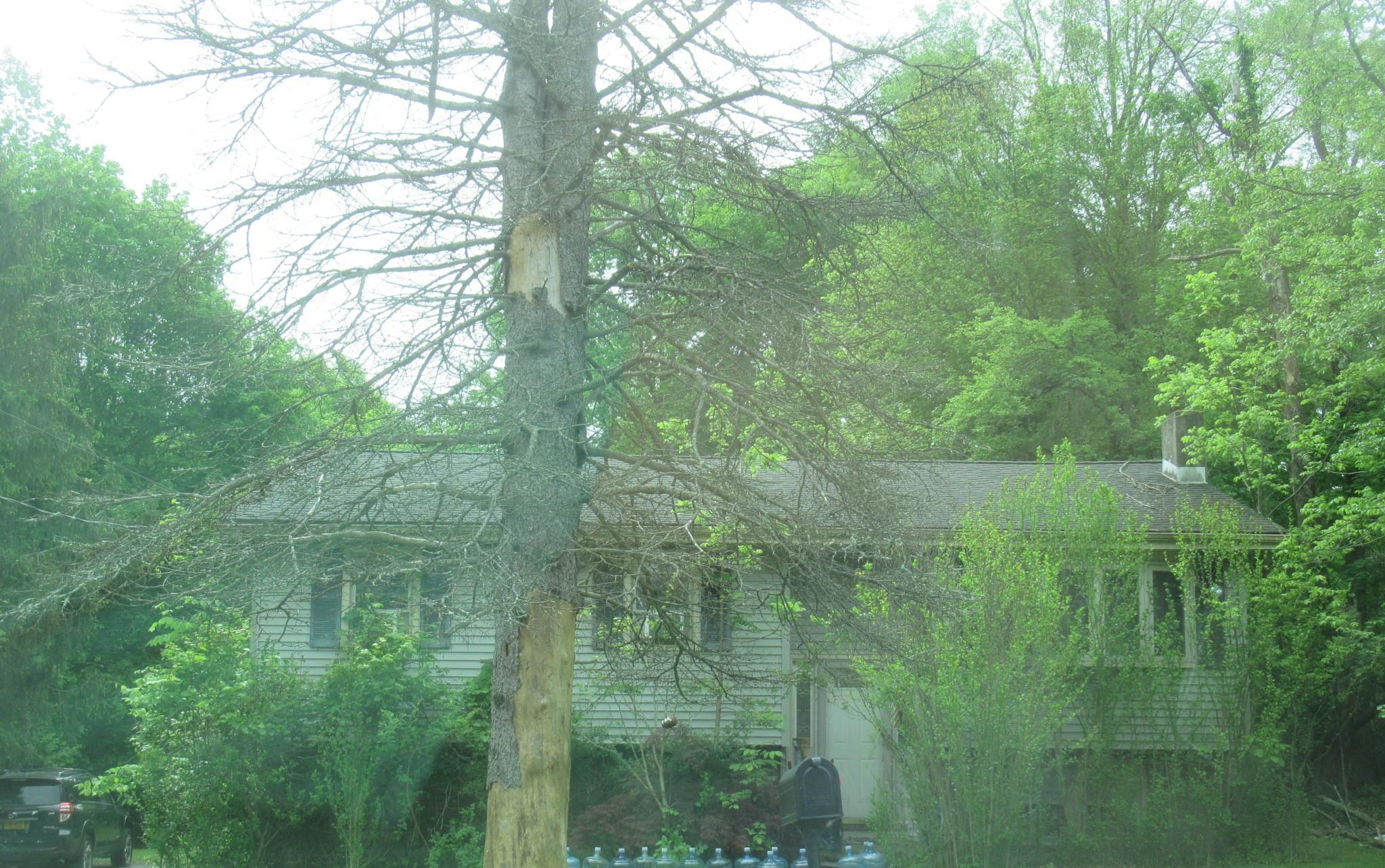 #2 photo, 246 Skyline Drive, Highland Mills , NY 10930